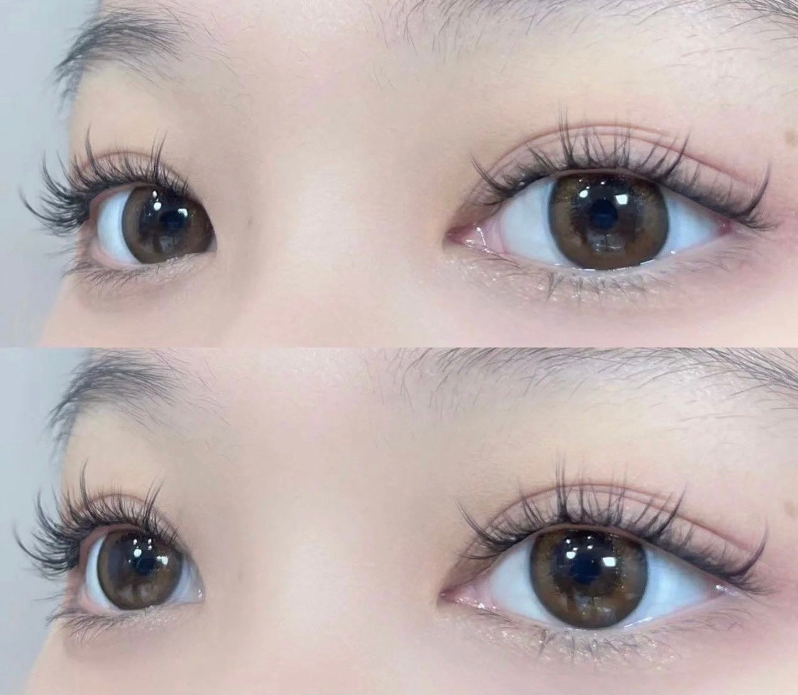 Sun Flower Lashes UP07