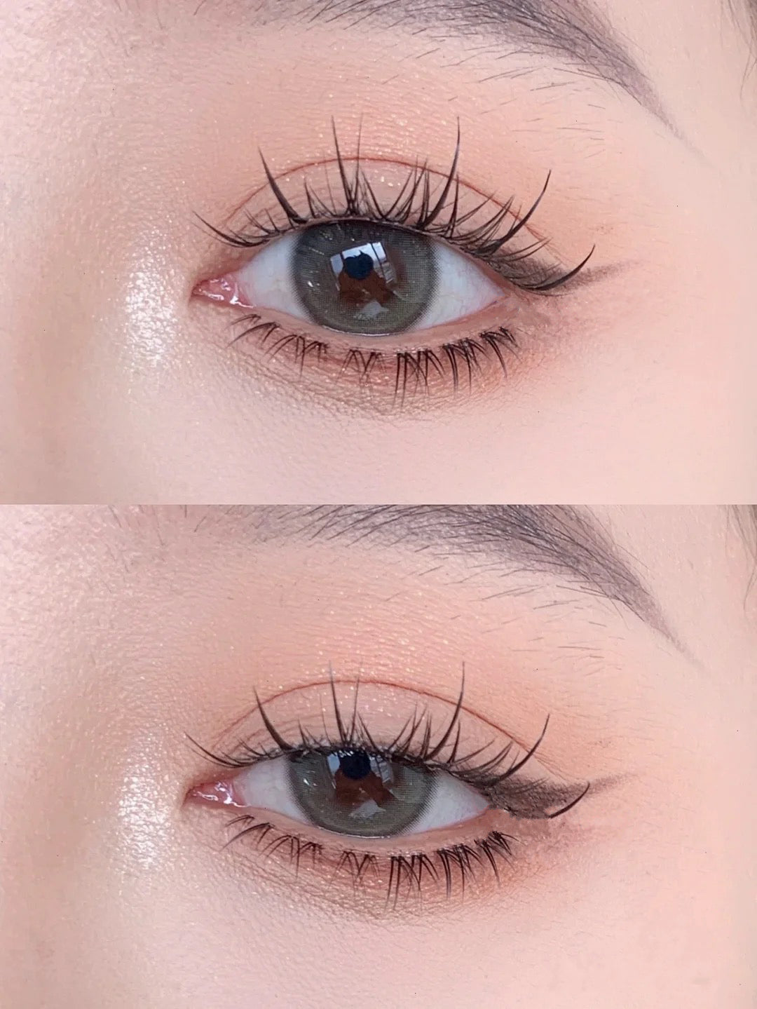 5 Pairs Natural Lashes UP10